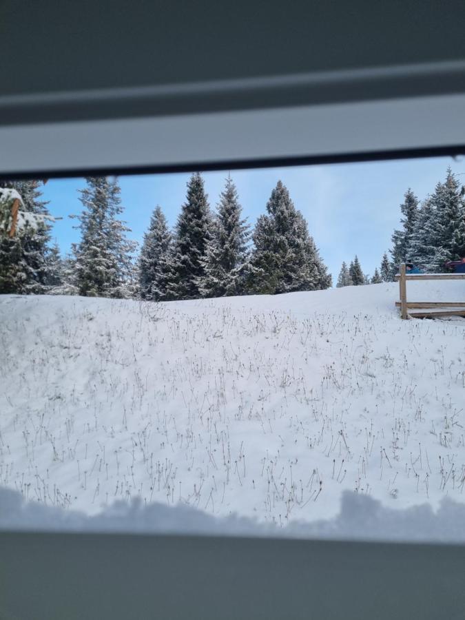 Bajta - Rogla * Zrece