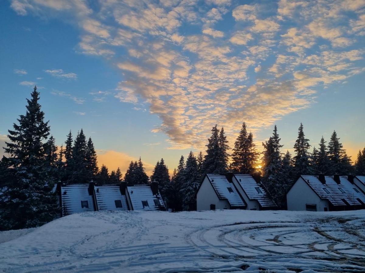 Bajta - Rogla Zrece